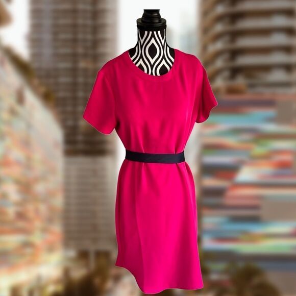 Like🆕 ADRIENNE VITTADINI vibrant pink shift dress, size 4 (belt NOT included) - Picture 1 of 8